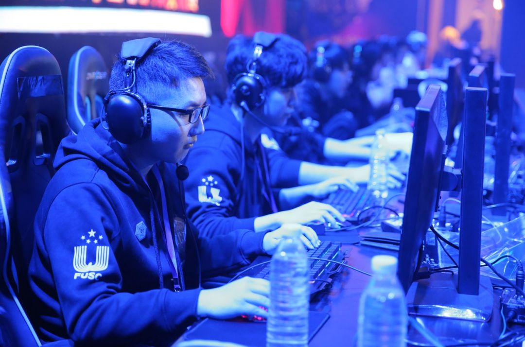 贸然引进新 贸然引进新