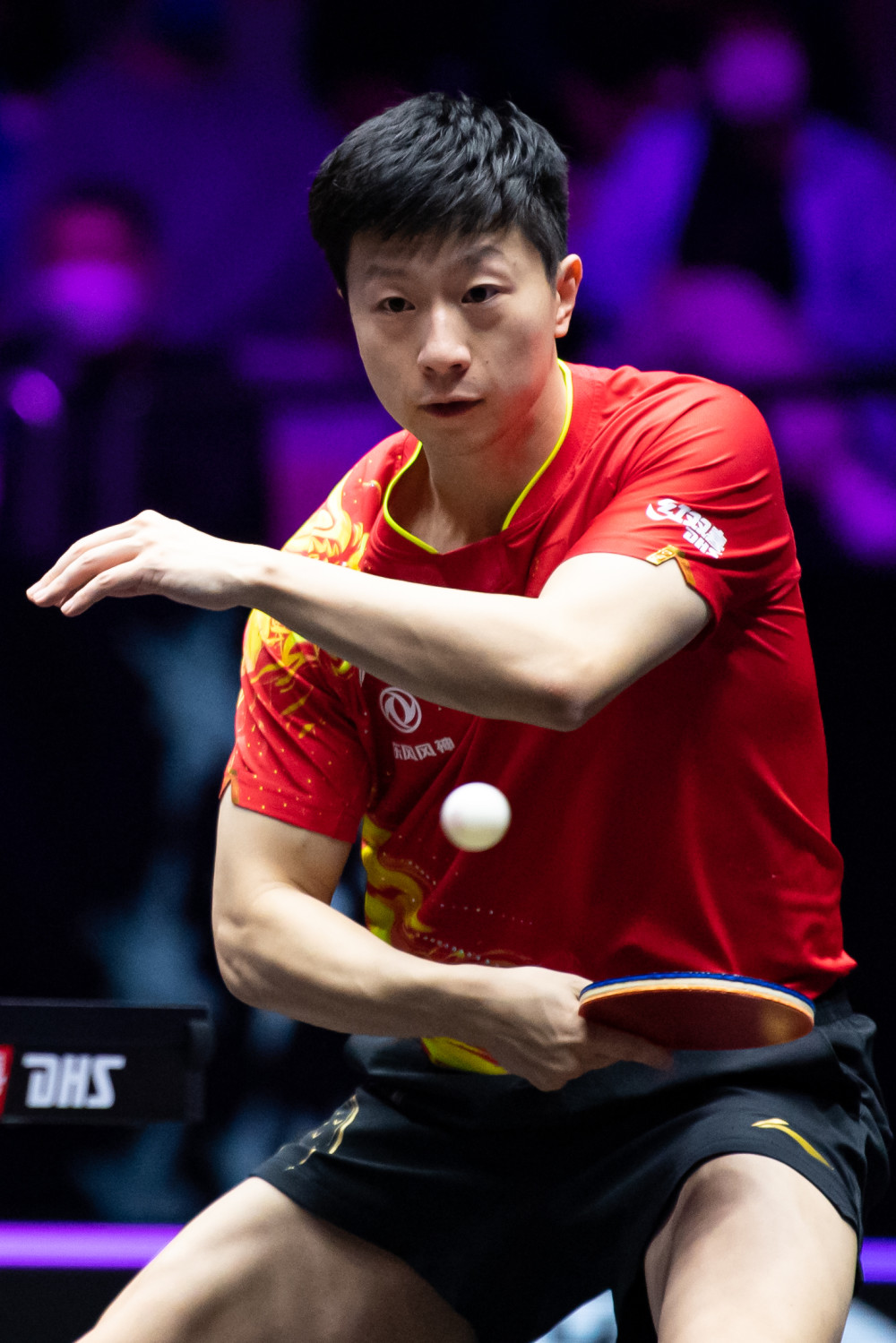 复仇的希望 复仇的希望